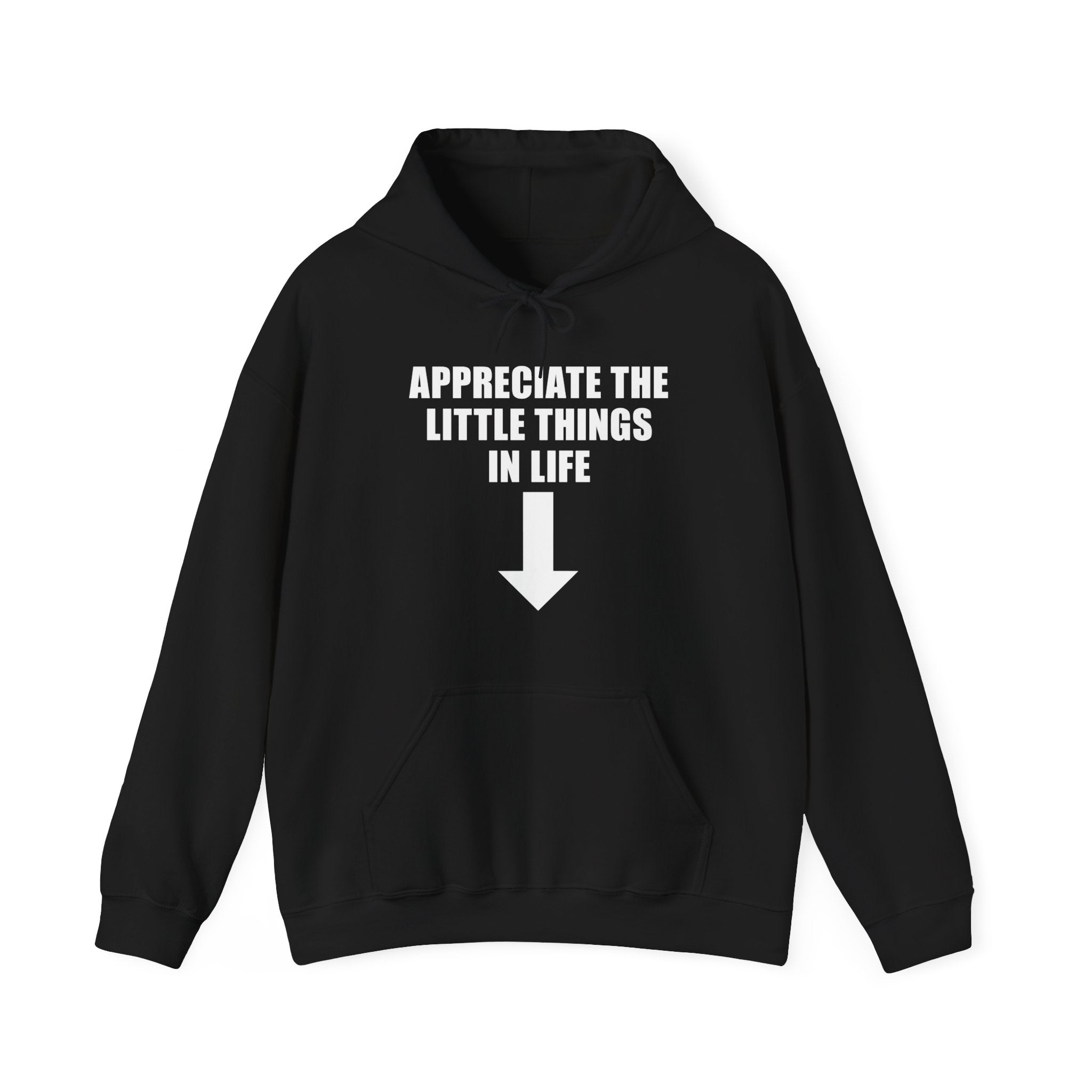 APPRECIATE THE LITTLE THINGS IN LIFE HOODIE