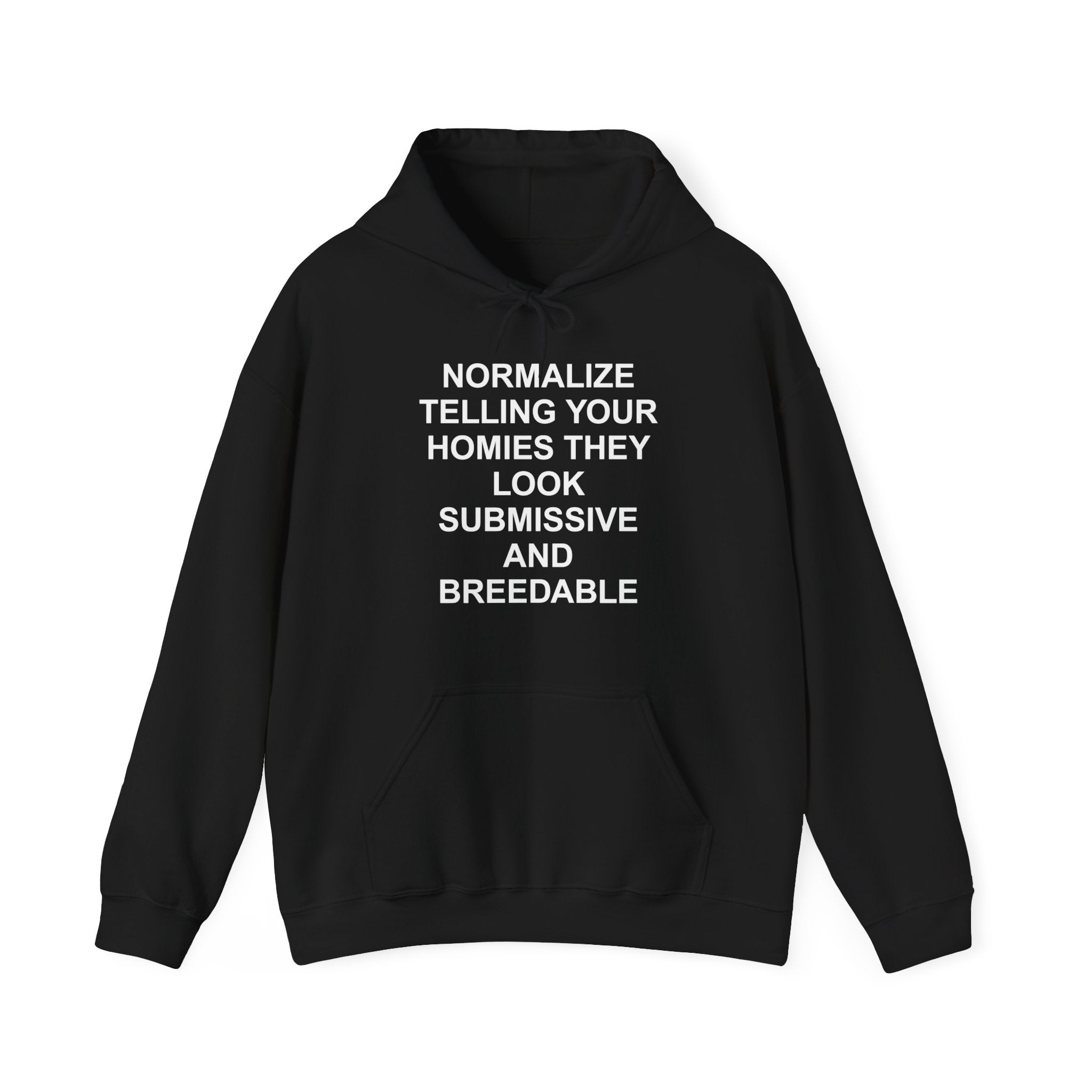 NORMALIZE TELLING YOUR HOMIES THEY LOOK SUBMISSIVE AND BREEDABLE HOODIE