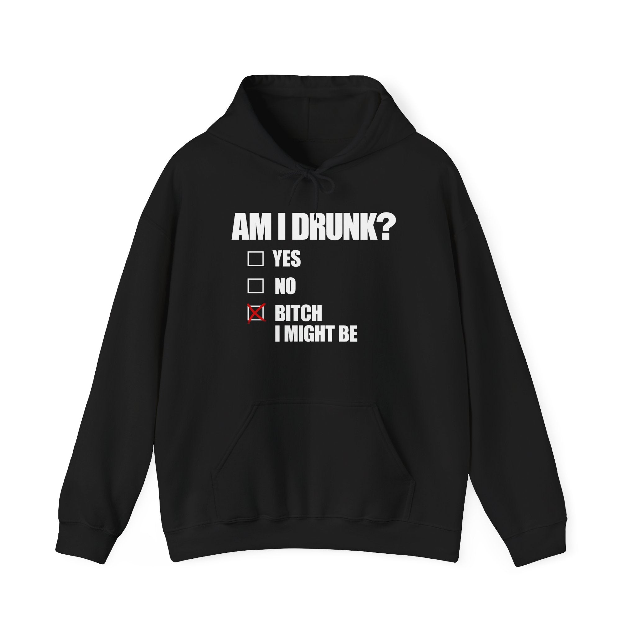 AM I DRUNK? HOODIE