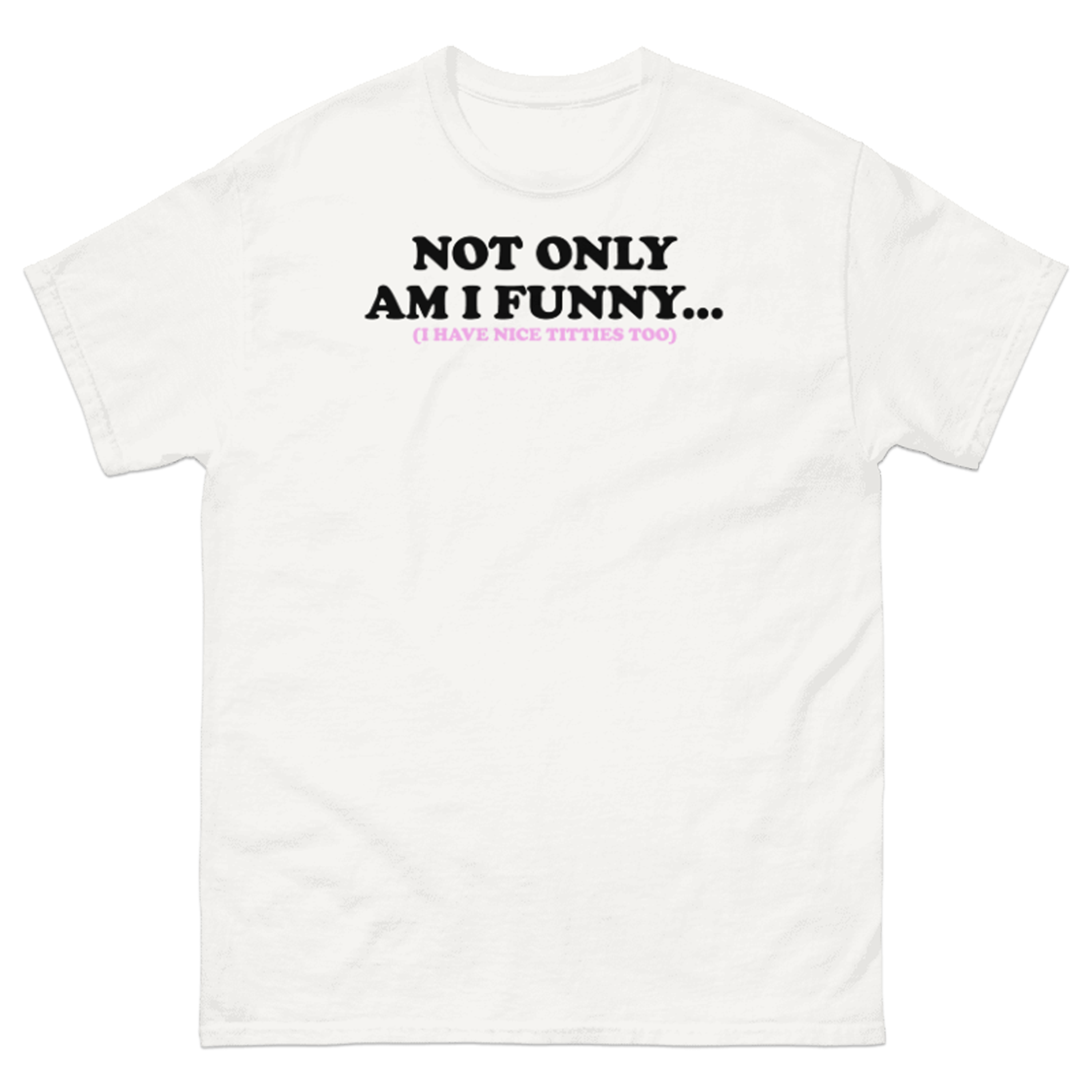 NOT ONLY AM I FUNNY... (I HAVE NICE TITTIES TOO) T-SHIRT